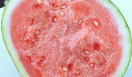 颜色吃瓜网站免费,尽享免费吃瓜盛宴！